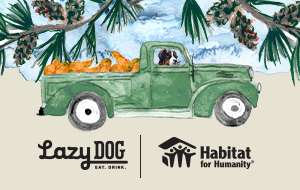 FaceplateAlt_LAZYDOG_1099497