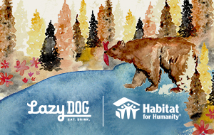 FaceplateAlt_LAZYDOG_1103477