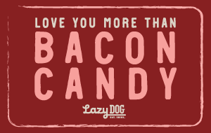 FaceplateAlt_LAZYDOG_1103527