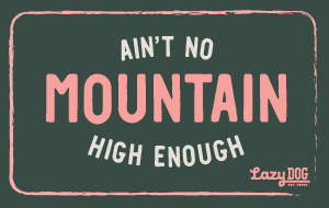 FaceplateAlt_LAZYDOG_1103529