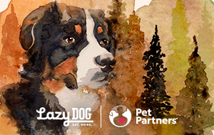 FaceplateAlt_LAZYDOG_1108239