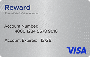Visa® Reward Virtual Account, 12-Month Fee Down