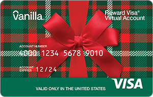 Visa® Reward Virtual Account, 6-Month Expiration