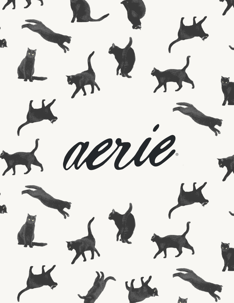 Aerie BTS 2026 Cats Greeting