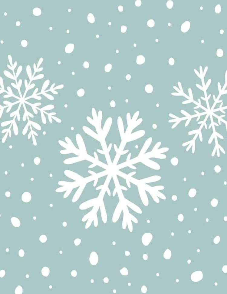 Holiday 1